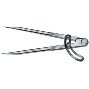 3702G 300 - COMPASSI DIRITTI