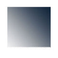 4899 100 - SPATOLE DENTATE