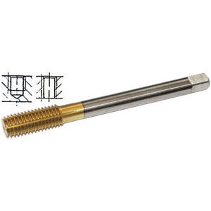 9269G 16 - MASCHI DX X MACC. 'M'