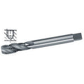 9405GF 12 - MASCHI A MACCHINA 'M'