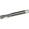 9501GE 1/8 - MASCHI X INSERTI 'BSW'