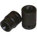 982GCZ 7 - BUSSOLE TORX ATT.1/2